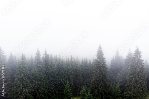 Cloudy Carpathian Mountains