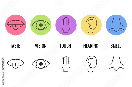 Icon set of five human senses. Simple line icons. Vector illustration.