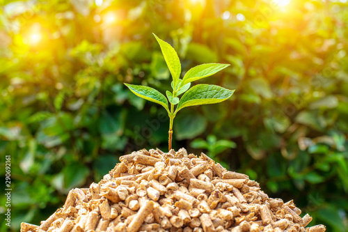 small pile of wood pellets with on top of green leaves.