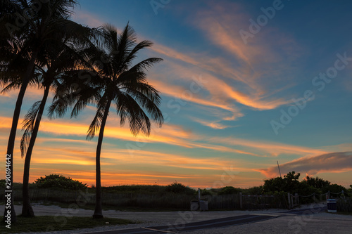 Palm trees silhouettes on tropical beach at sunrise in Miami Beach, Florida. Copy space.