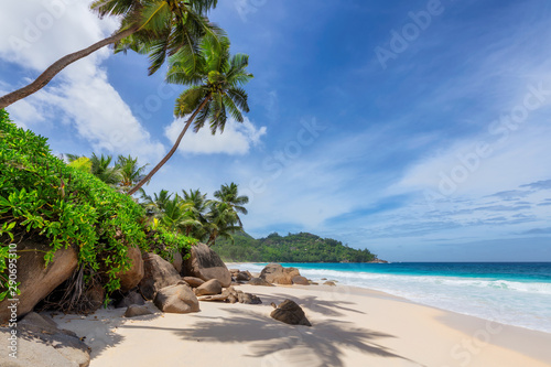 Słoneczna plaża z palmami i turkusowym morzem na Seszelach. Letnie wakacje i koncepcja tropikalnej plaży.