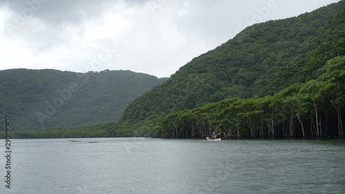 iriomote mangrove