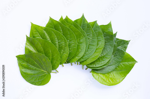 Green betel leaves, Fresh piper betle on white background.