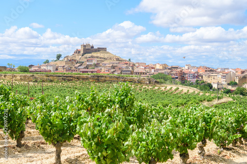 beautiful town of la rioja, Spain