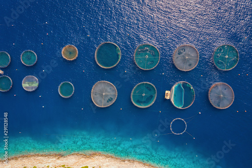 Luftaufnahme einer Fischfarm mit den runden Zuchtnetzen in den blauen Gewässern der Ägäis, Griechenland