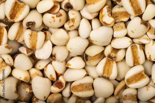 Closeup image of job's tears plant knows as lachryma-jobi as a natural healthy lifestyle background.