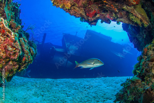  shot taken of the USS Kittiwake. The sunken shipwreck in this angle has been captured from underneath the nearby reef to create a cool framing effect.