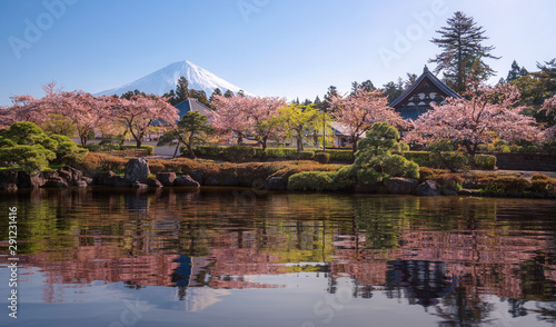 Sakura park and village with Fuji mountain background