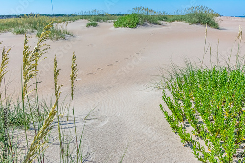 Sand and sea oats; a horizontal photograph of white beach sand and sea oats with a single set of footprints leading in the direction of the water, sand and what may be a path, and sea oats and green p