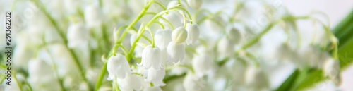 banner of Lily of the valley flowers. Natural background with blooming lilies of the valley lilies-of-the-valley