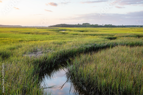 Salt Marsh on the intracoastal waterway in Florida