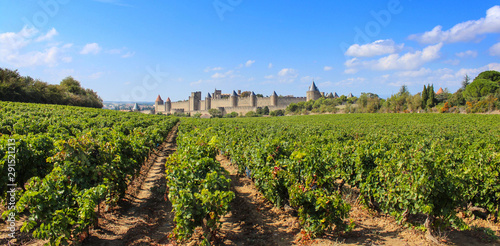 Cité de Carcassonne / France