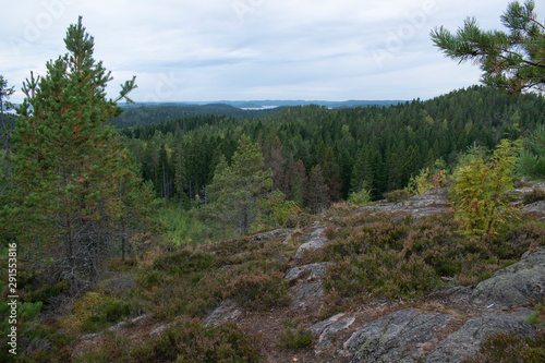view in the mountains on a boreal forest