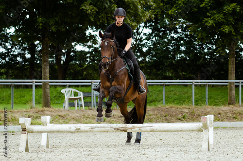 Reiterin springt mit ihrem Pferd im Sommer über ein Cavaletti