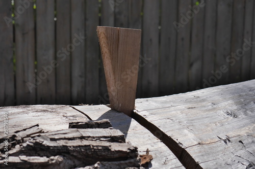The wedge is hammered into a cut of a tree.