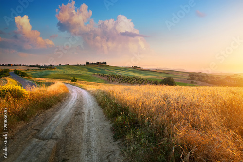 Italy autumn countryside landscape, dirty road and farmland over sunset sky