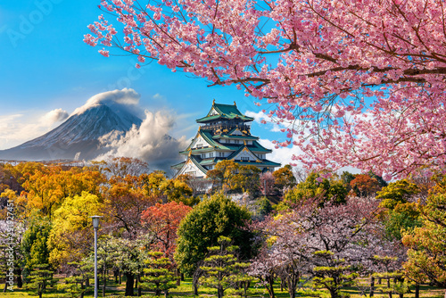  Osaka Castle and full cherry blossom, with Fuji mountain background, Japan.