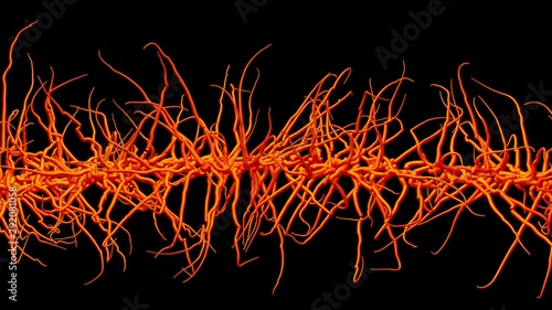 Mycelium network , fungal root system growing . Tendrils spreading outwards . 3d rendering art concept