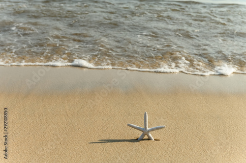 starfish in front of a beach with wave coming