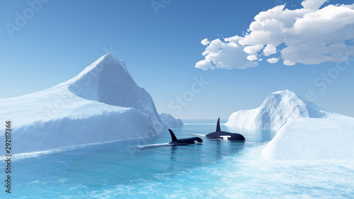 whales swim in the ocean and iceberg