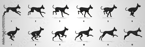 Great Dane Dog Run cycle animation sequence