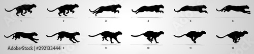 Cheetah run cycle animation sequence