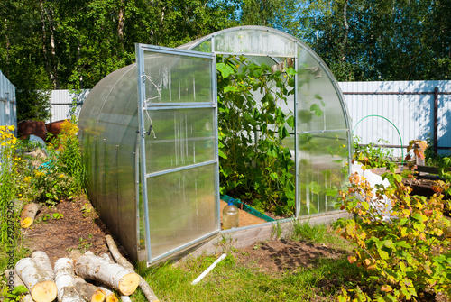 Open door greenhouse with cucumbers in russian countryside in summer