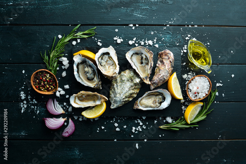 Fresh Oysters. Seafood. Top view. On a black background. Free copy space.