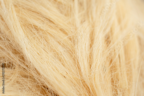 sisal fiber texture close up