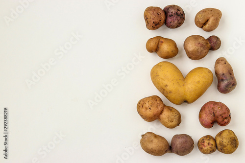 Ugly organic abnormal vegetables - potatoes on white background, Concept organic vegetables, Copy space