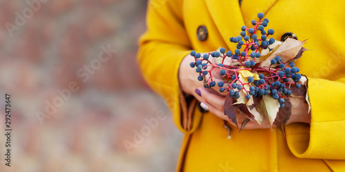 Autumn time. Girl 's hands holding a bouquet of colorfull leaves of maiden grapes. Close up image. Copy space