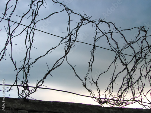 Old rusty concertina barrier made of handicraft barbed wire on top of an old brick fence against a dark evening sky