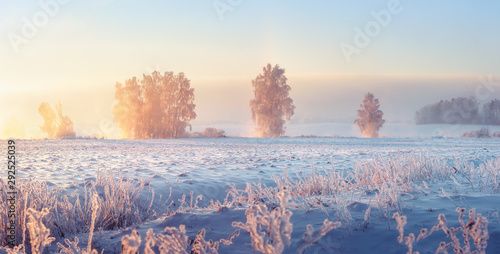 Scenery winter. Beautiful winter nature landscape in the morning. Christmas scene. Snowy nature in sunlight
