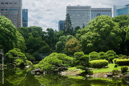 Nature or urban background with view of Hibiya park in Tokyo, Japan, with trees and tall buildings of Marunouchi business district illustrating modern urban ecology concept. 