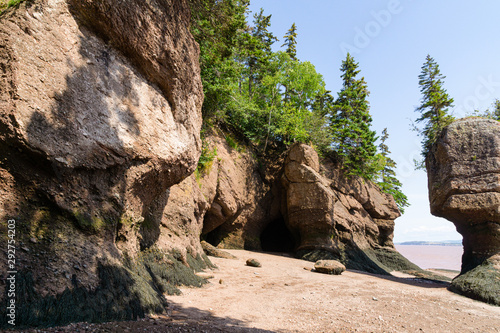 Trees growing out of the top of sandstone rock formations (flower pot rocks) at Hopewell Cape, New Brunswick during the day at low tide on the Bay of Fundy.