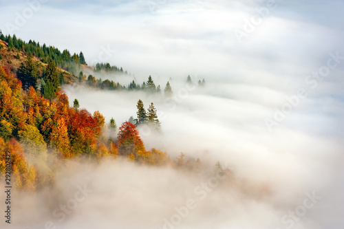 Jesień las na halnym zboczu z mgłą