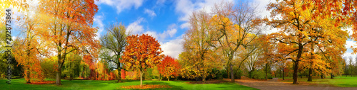 Kolorowa parkowa panorama w jesieni