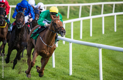 Galloping race horses and jockeys racing towards the finish line