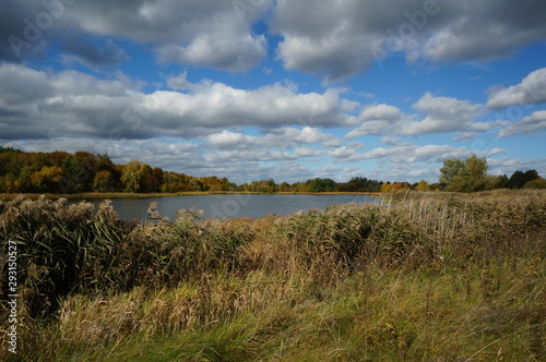 landscape with lake and blue sky