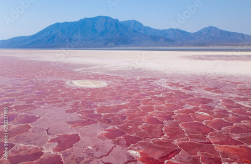 Lago Natron, Valle del Rift, Tanzania, Africa