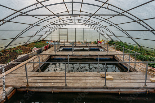 Greenhouse with aquaculture fish nursery for growing small sturgeons and trouts