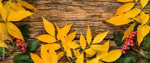 Yellow autumn leaves on a wooden background