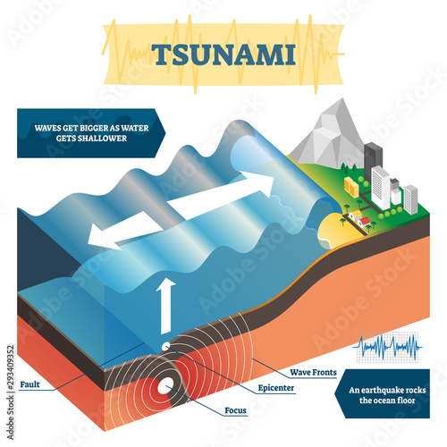 Tsunami vector illustration. Labeled educational big ocean wave explanation