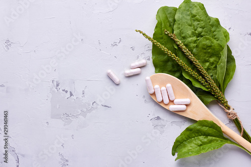 Alternative medicine, naturopathy and dietary supplement. Herbal remedy in capsules and plants over light grey background