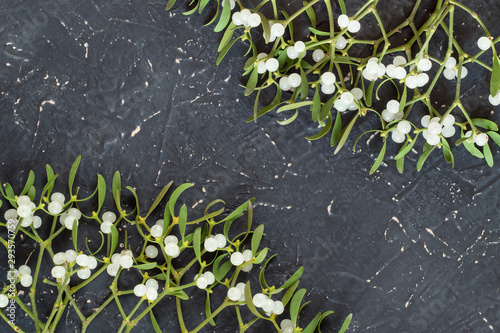 Mistletoe branch on a gray textured background