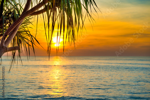 Beautiful landscape with sunset at tropical beach with palm trees