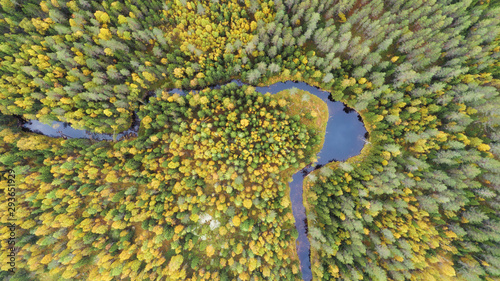 Beautiful autumn river landscape. River flows through autumn forest with yellow and green trees, aerial top view.