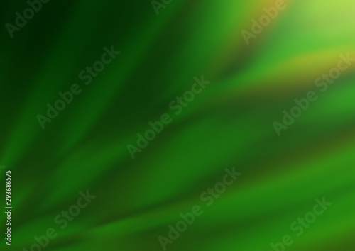 Light Green vector blurred shine abstract pattern. A completely new color illustration in a bokeh style. A completely new template for your design.