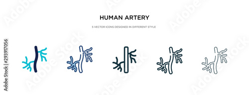 human artery icon in different style vector illustration. two colored and black human artery vector icons designed in filled, outline, line and stroke style can be used for web, mobile, ui