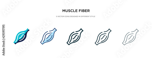 muscle fiber icon in different style vector illustration. two colored and black muscle fiber vector icons designed in filled, outline, line and stroke style can be used for web, mobile, ui